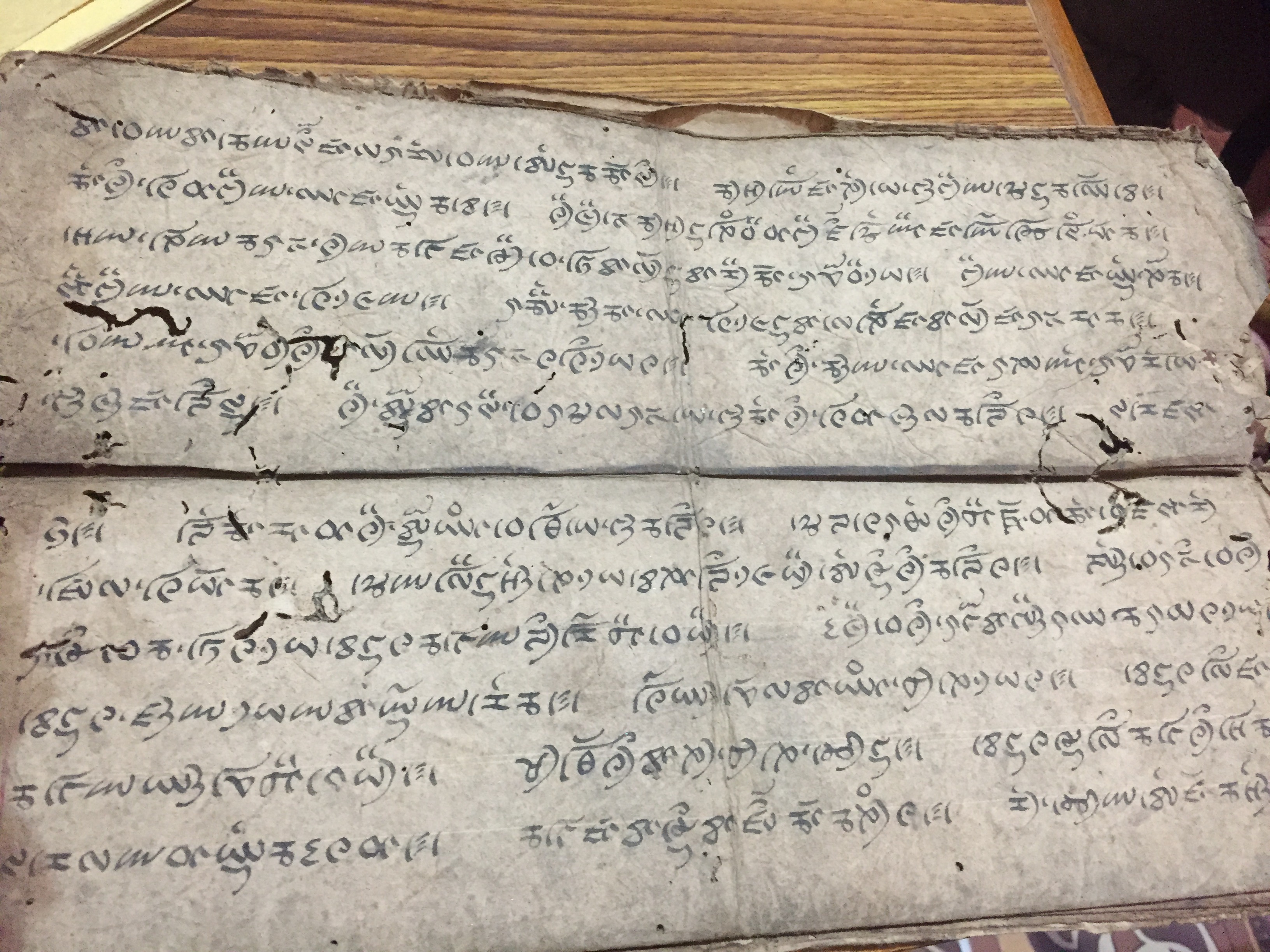 Designing Endangered Scripts, Part IV: Avani Lakhotia